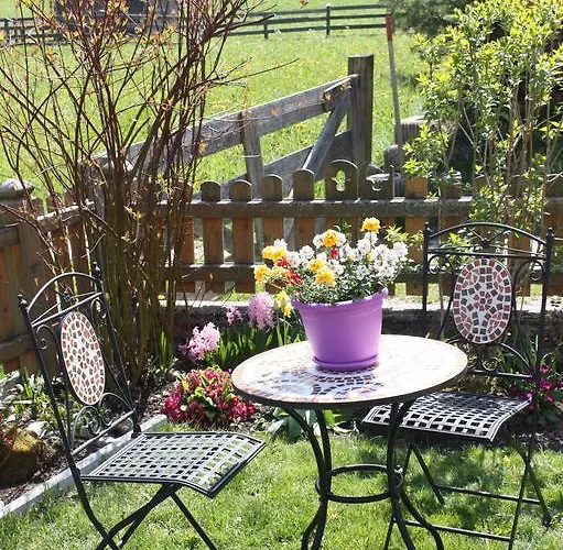 Alpensonne アパート *