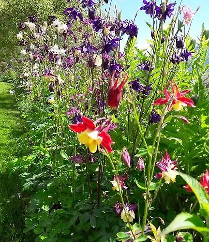 Alpensonne ノイシュティフト・イム・シュトゥーバイタール