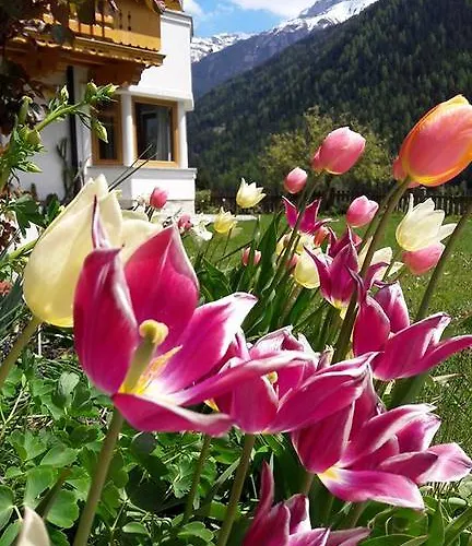 Alpensonne ノイシュティフト・イム・シュトゥーバイタール