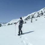 Alpensonne *
